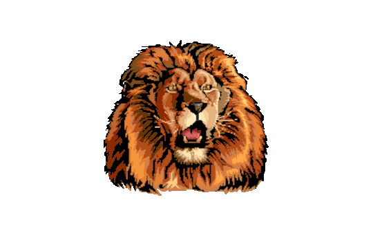 Zooland